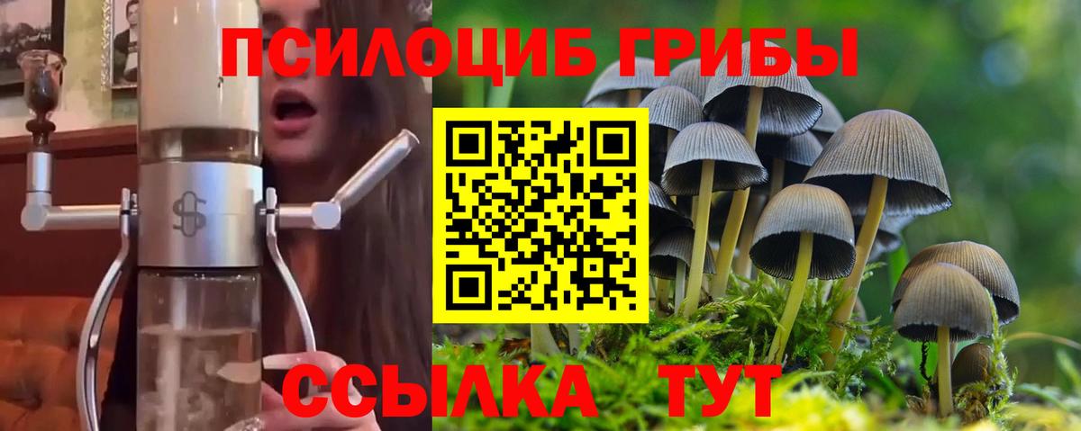 Новочеркасск  Галлюциногенные грибы Cubensis  где найти наркотики  Вход с VPN  Псилоцибиновые грибы ЛСД 